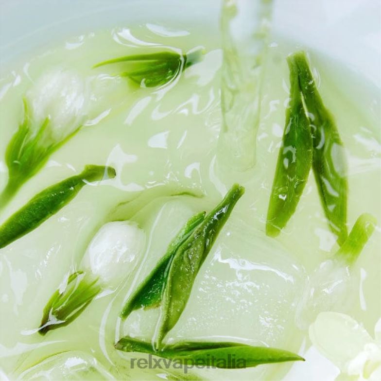 RELX pod pro - 2 cialde tè longjing al gelsomino 266J411 RELX Italia